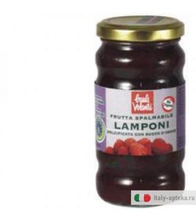 Frutta Spalmab Lamponi 280g