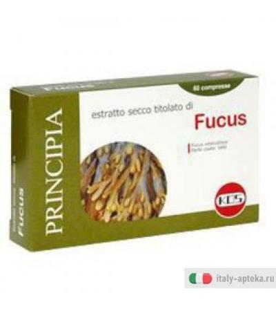 Fucus Estr Sec 60cpr