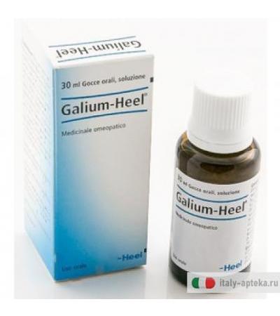 Galium 30ml Gtt Heel