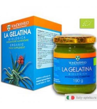 Gelatina 190g