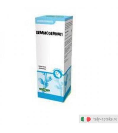 Gemmoderivato Betulla Semi50ml