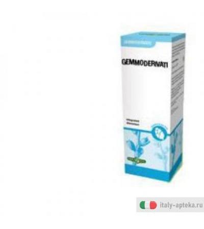 Gemmoderivato Olmo 50ml