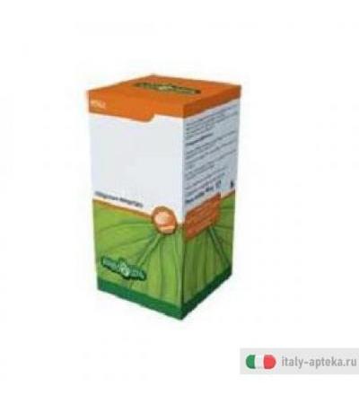 Germe Grano Olio 200prl