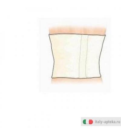 Gibaud Cint Norm 32cm l