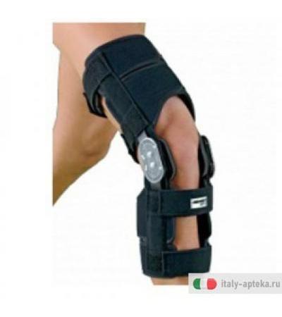 Gibaudortho Genugib Ginocch