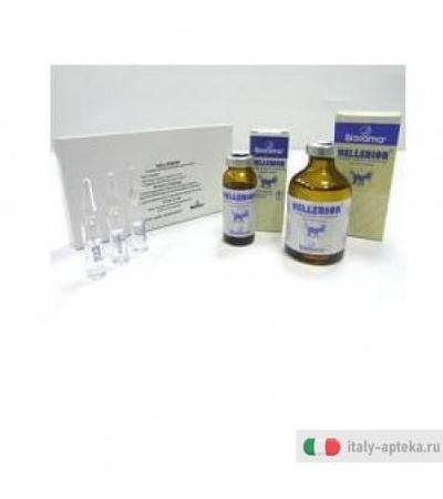 Hellebior 50ml Gtt