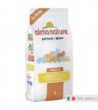 Holistic Cat Pol/riso 2kg