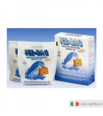 Icebag Borsa Gh Istant 2bust