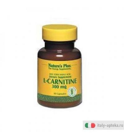 L Carnitina 30cps