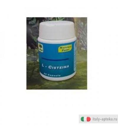 L Cisteina 500mg 60cps
