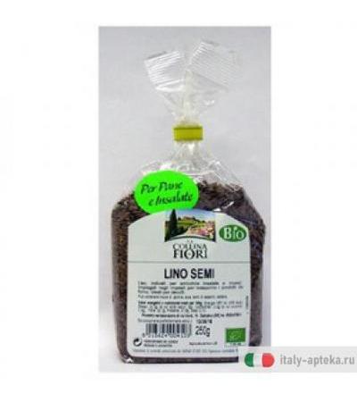 Lino Semi Bio 250g