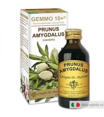 Mandorlo 100ml Analco Gem 10+