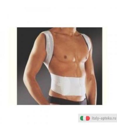 Newedge 576 Raddrizzaspalle l