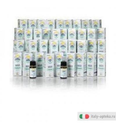 Nomabit Clematis Gtt 10ml