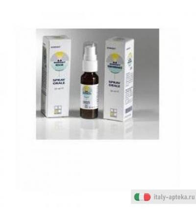 Nomabit Star Of Bethlehem 20ml