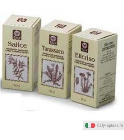 Olio Germe Grano 100ml 501