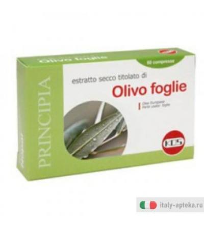 Olivo Foglie Estr Sec 60cpr