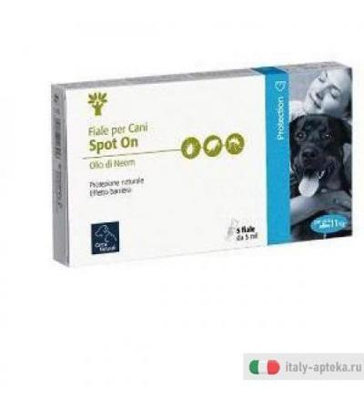 Orme Nat Spot On Cane 10+ 5x5m