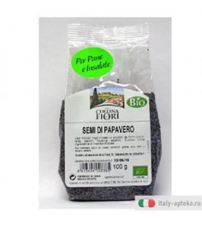 Papavero Semi Bio 100g
