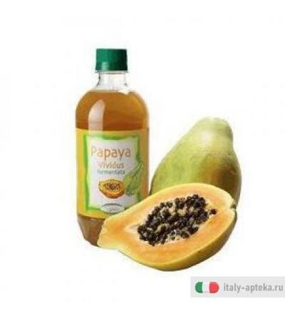 Papaya Ferment Integrat 500ml