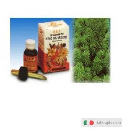 Pino Silv Olio Ess Puro 10ml