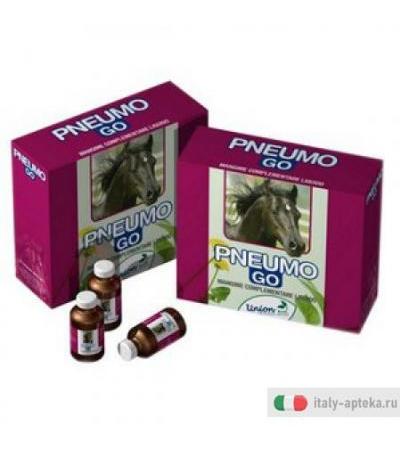 Pneumo Go 6 Fiale 20ml