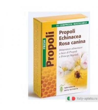 Propoli Echin Ra Can Fresh 20c