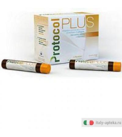Protocol Plus 21fl 25ml