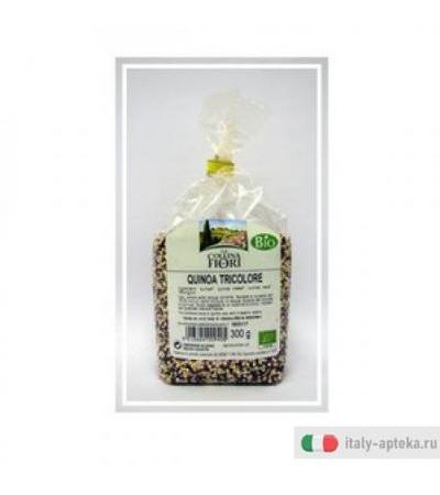 Quinoa Tricolore Bio 300g