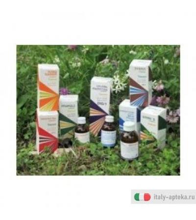 Raemil Piantaggine 100ml