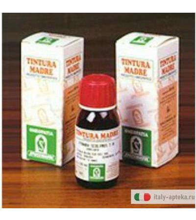 Regina Prati 27 50ml Tm