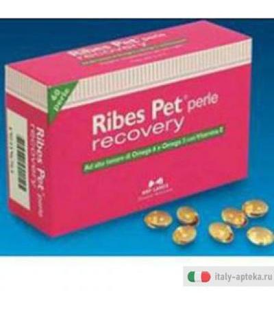 Ribes Pet Recovery 60prl