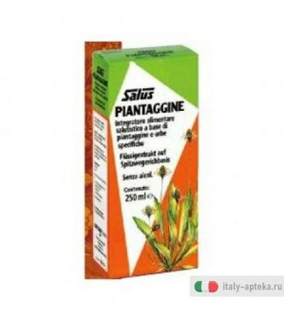 Salus Piantag/salvia/finocc250