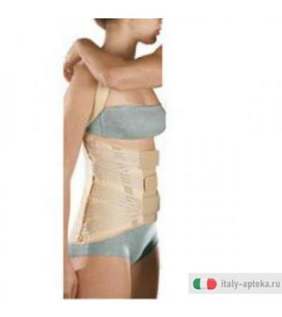 Sat Dorso Lombare D l