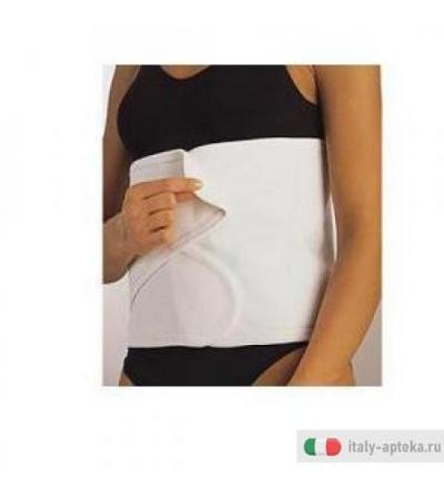 Scudotex Cint Stecca 4 159