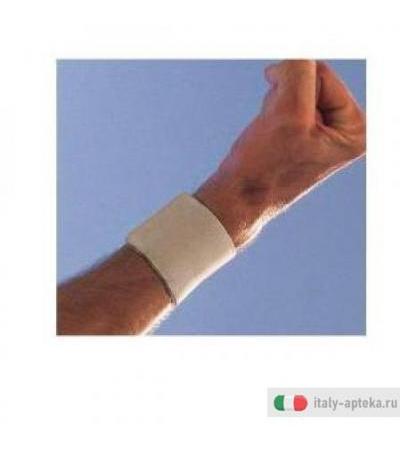 Scudotex Pols Reg Bi 2 542