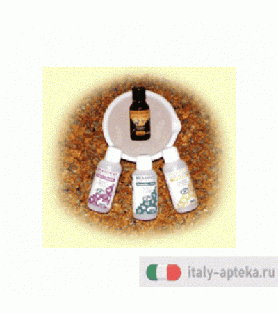 Shampoo Cap Sec Norm 250ml2010