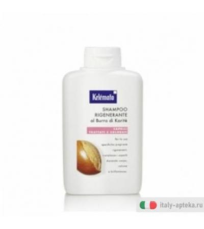 Shampoo Rigen Burro Karit250ml