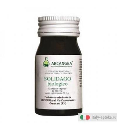 Solidago Bio 60cps 385mg