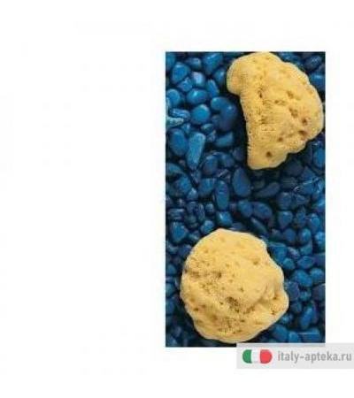 Spugna Nat Fori Pic 5/6cm 7v