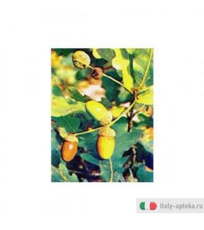 Tsa Quercus Robur 50ml