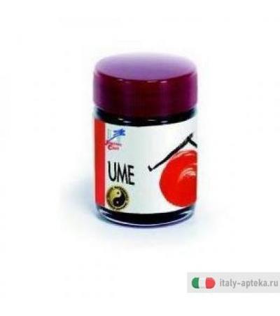 Ume Concentrato Umeb 40g