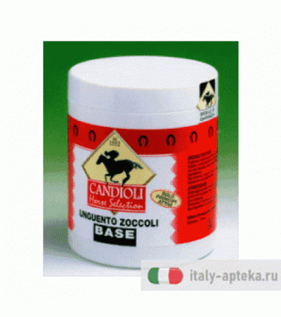 Unguento Zoccoli Orig Bar 750m