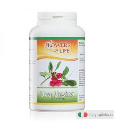 Uva Ursina 100cps Flowers Of l
