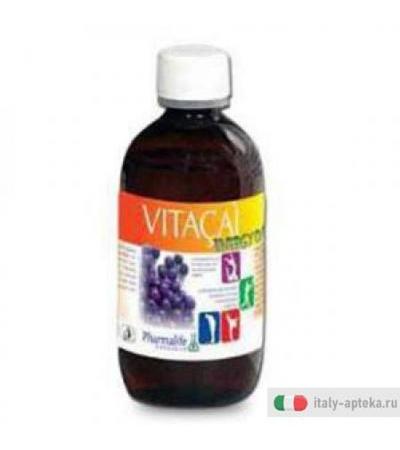 Vitacai Energy Oxi 500ml