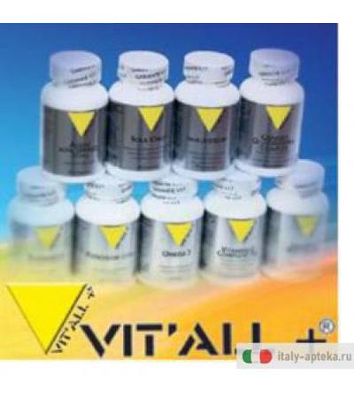 Vital Plus Vitamina C 30cpr