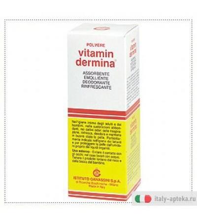 Vitamindermina polvere 100 grammi