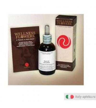 Wellness Flowers Int N9 50ml