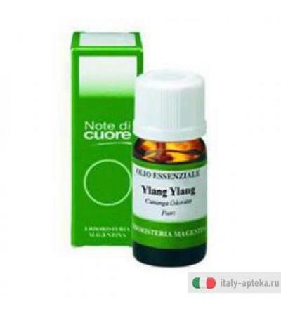 Ylang Ylang Olio Ess 10ml