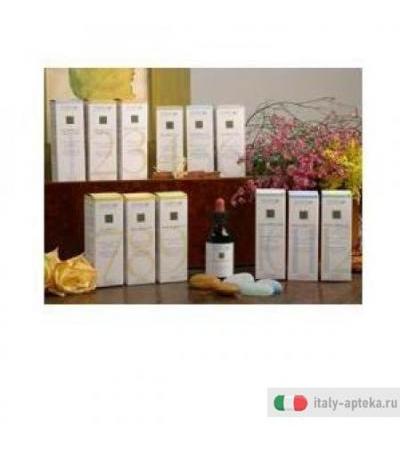 Zef03 Gastro Plant Stv